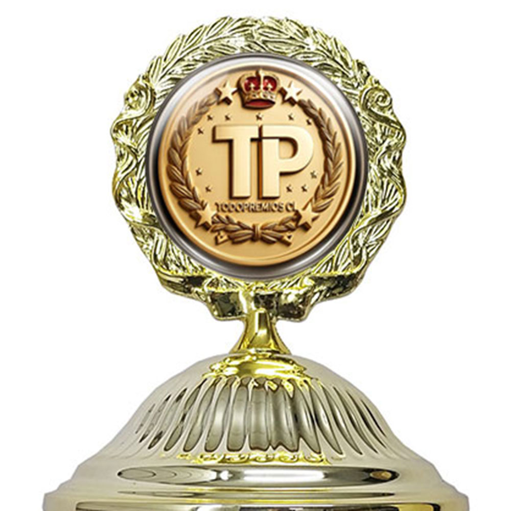 Copa E763 - Imagen 3