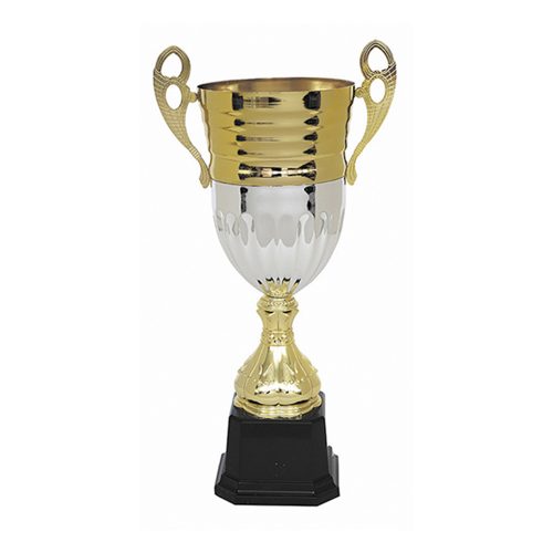 Copa 2104 - Imagen 2